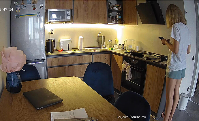 Screenshot 2023-05-26 at 16-16-40 Bathroom camera at Amelie & Lucas reallifecam apartment at Voyeur House TV (cam19)