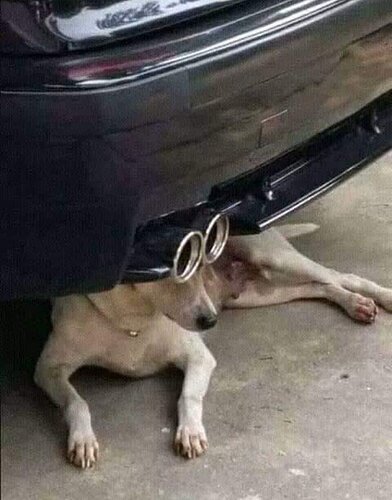 main-qimg-9054d791124acf53035048c161bee4d5-lq