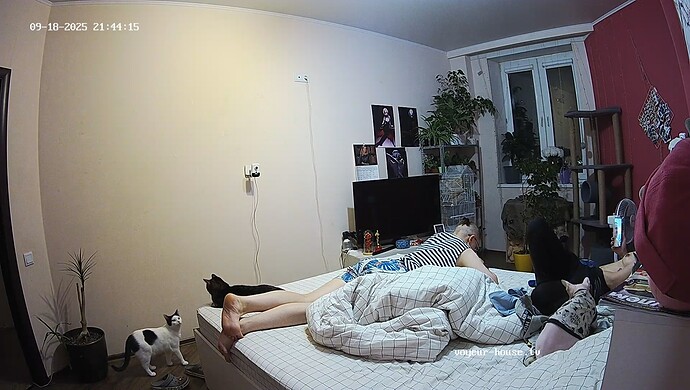 realm60-cam17-1758221121