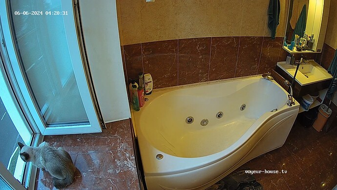 realm18-cam111-1717636864 (1)