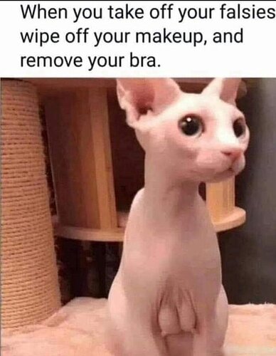 FxHxzxvXoAA77Cs