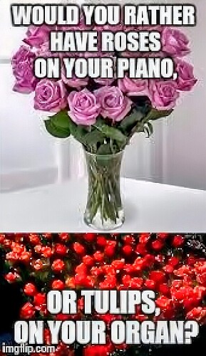 retouch_2024041705140555