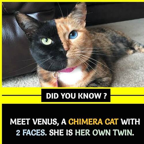 440303997_352392171183718_4179436658561100084_n