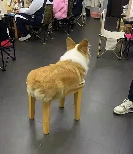 https __s3-newsifier4