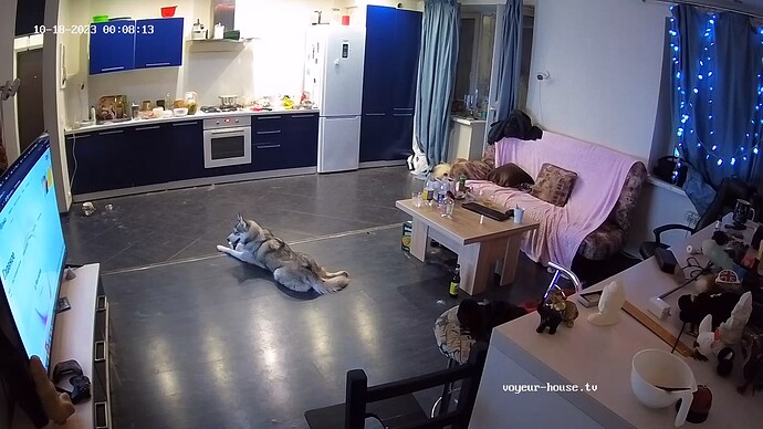 realm18-cam14-1697579223