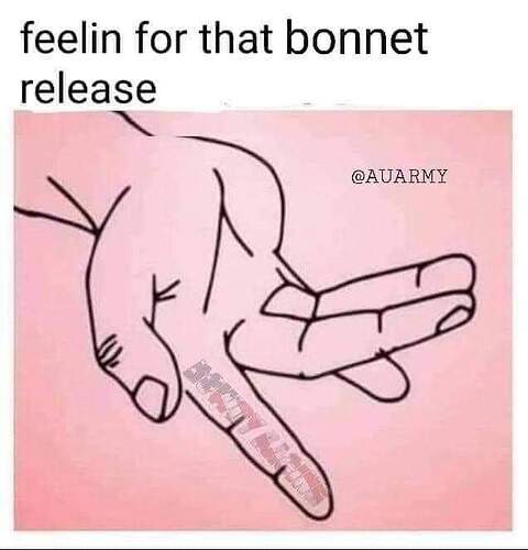 FB_IMG_1698618534004