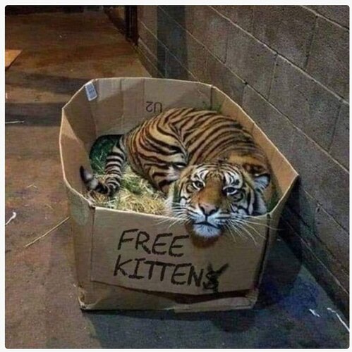 main-qimg-87d446664ab601754a06bce793267c9c-lq