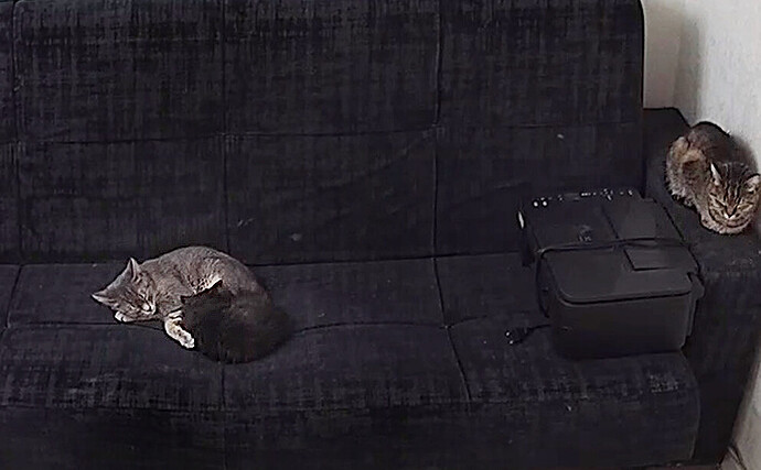 bandicam 2023-12-14 18-23-33-150