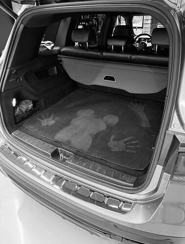 photo_2025-11-09_07-24-21