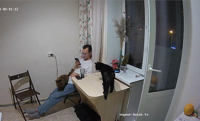 Screenshot 2023-08-10 at 17-51-26 Kitchen camera at Verh & Nizik reallifecam apartment at Voyeur House TV (cam11)