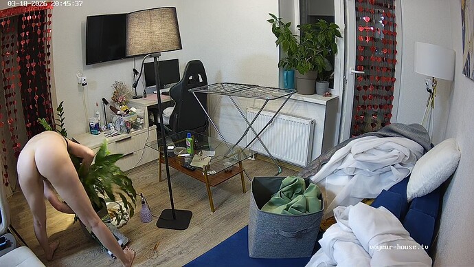 realm137-cam13-1773855979