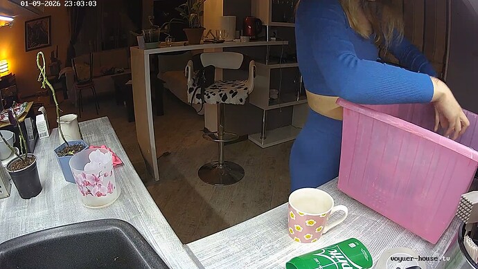 realm64-cam11-1767989026