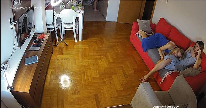 Screenshot 2023-07-17 at 13-35-18 Living room camera at Silver & Bradley reallifecam apartment at Voyeur House TV (cam14)
