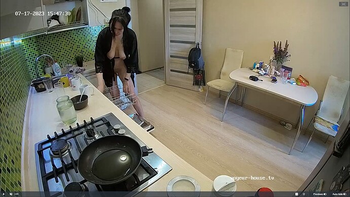 Ashampoo_Snap_lundi 17 juillet 2023_14h48m23s_006_Clara & Stas apartment with reallifecam cameras at Voyeur House TV - Google Chrome