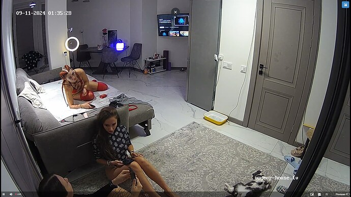 Ashampoo_Snap_mercredi 11 septembre 2024_0h35m52s_006_Living room camera at Andreza reallifecam apartment at Voyeur House TV (cam16) - Google Chrome