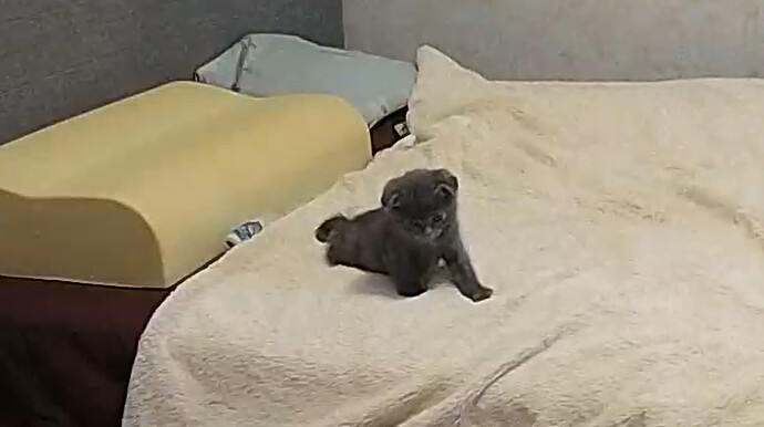 bandicam 2024-07-14 17-10-13-182