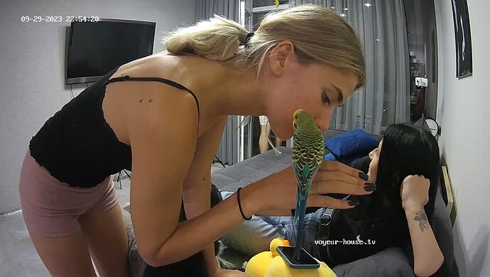 realm8-cam15-1696026560