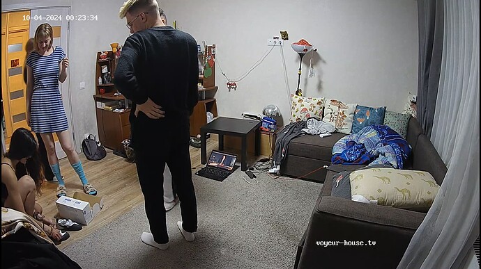 Ashampoo_Snap_jeudi 3 octobre 2024_23h24m15s_017_Living room camera at Camille reallifecam apartment at Voyeur House TV (cam15) - Google Chrome