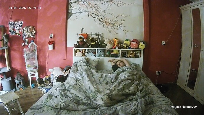 realm60-cam16-1767579844