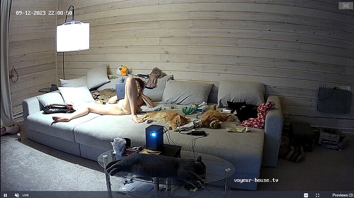 Screenshot_2023_09_12-22