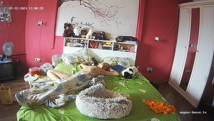 realm60-cam16-1721675629