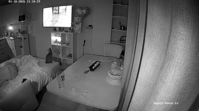 realm134-cam13-1768759862