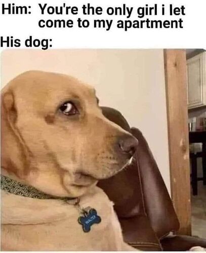 433942391_25807955042137163_1800527948216508397_n