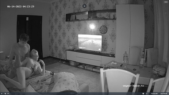 Ashampoo_Snap_mardi 13 juin 2023_23h24m6s_006_Living room camera at Edrym & Roza reallifecam apartment at Voyeur House TV (cam13) - Google Chrome