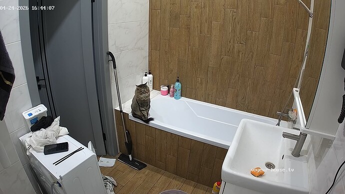 realm42-cam19-1777038285