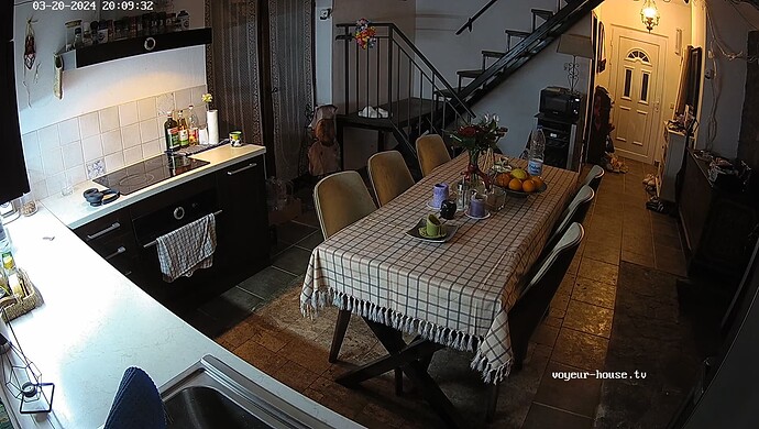 realm81-cam11-1710961805