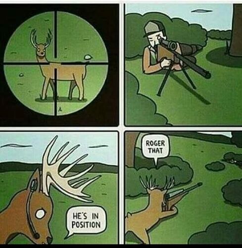 419541987_122153174696066160_7120904798461175751_n