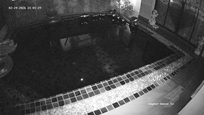 realm94-cam19-1771941725