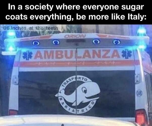 0e0eb8ef9a744ca3