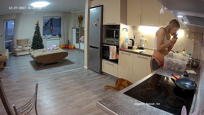 realm67-cam11-1703684011