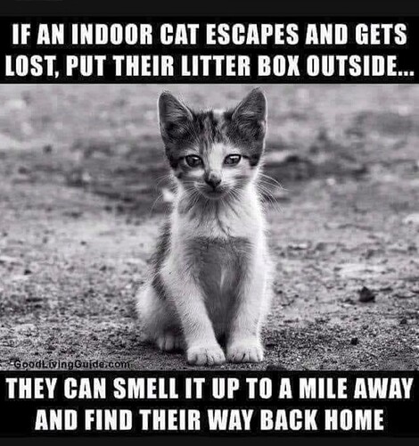 main-qimg-6b17b372f51c4f9c7e30a19c78065c76