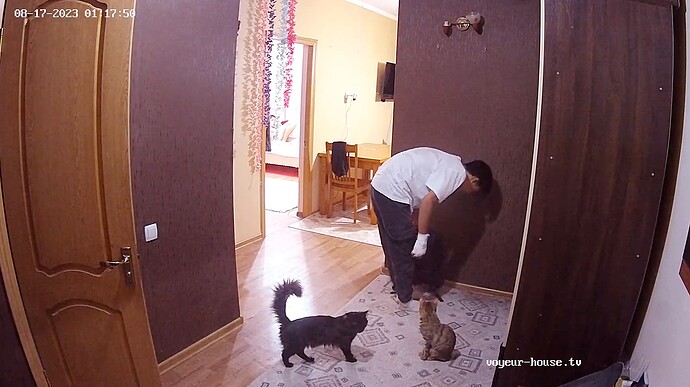 bandicam 2023-08-17 08-16-46-803