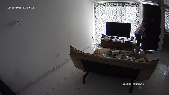 realm121-cam15-1765929691