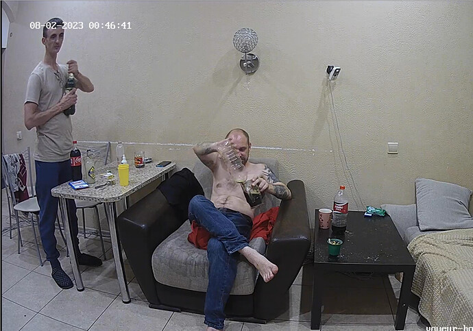 Screenshot 2023-08-01 at 17-49-13 Kitchen camera at Jakar & Lilka reallifecam apartment at Voyeur House TV (cam12)