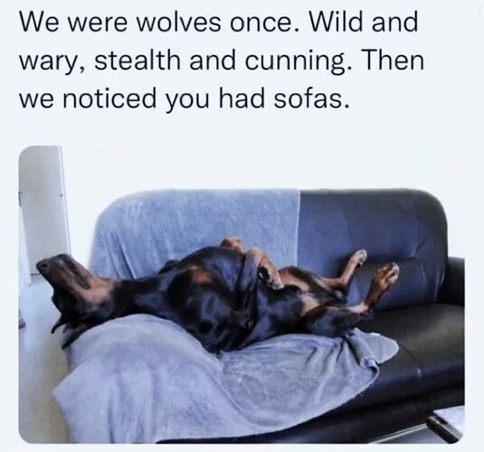Wolves Once