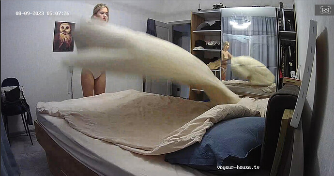 Screenshot 2023-08-08 at 22-36-32 Living room camera at Alida Gerda reallifecam apartment at Voyeur House TV (cam14)