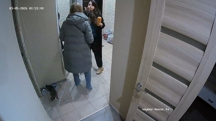 realm62-cam111-1772665872