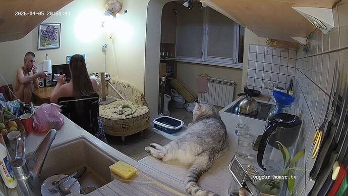 videoframe_8866