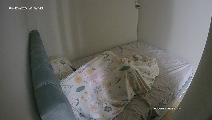 realm67-cam16-1744477813