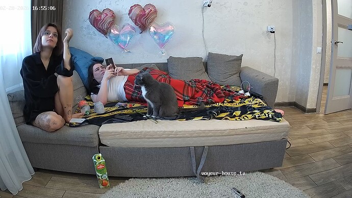 realm5-cam15-1772286947