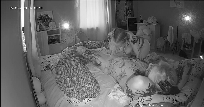 Screenshot 2023-05-18 at 23-19-18 Bedroom camera at Winter reallifecam apartment at Voyeur House TV (cam18)