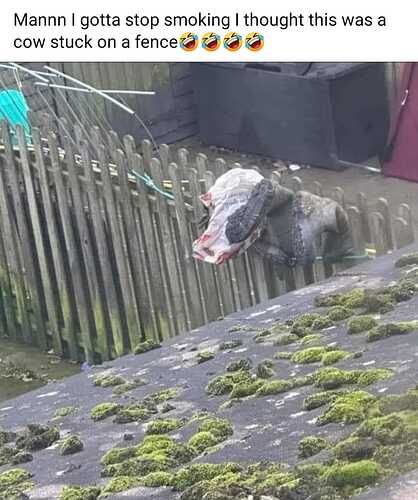 434105072_7183966031718189_1753911868807704131_n