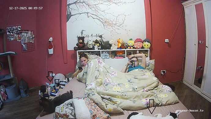 realm60-cam16-1765922485