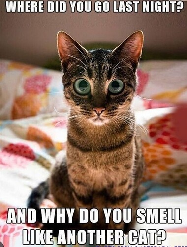 main-qimg-eff4f5eeb2689eb241e843ffc0e94903