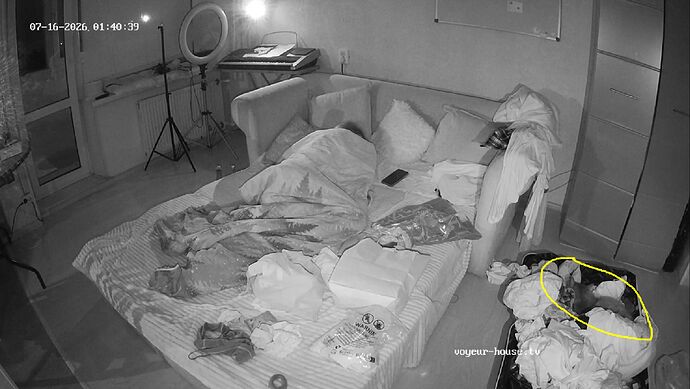 Miranette_260716_sleeping_cat_in_suitcase_@_Rache-&_Ross_realm75_01