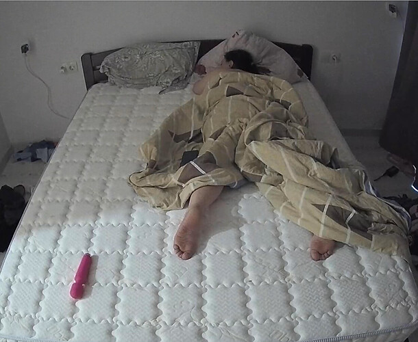 Screenshot 2023-06-04 at 02-15-45 Bathroom camera at Sophia Elon Claudia reallifecam apartment at Voyeur House TV (cam113)